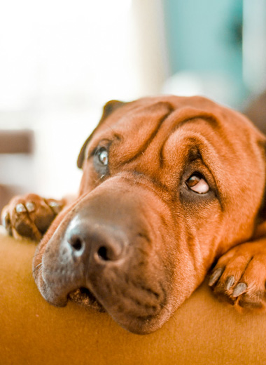 Lightning Facts: Astraphobia - the fear of lightning